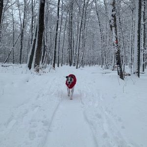 Meet your Posher, Matt